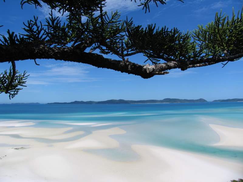 Contact sam@wineorbit.co.nz sam kim consulting auckland new zealand tel: The Best Beaches To Perfect Your Holiday White Sand And Blue Sea In Whitehaven Beach